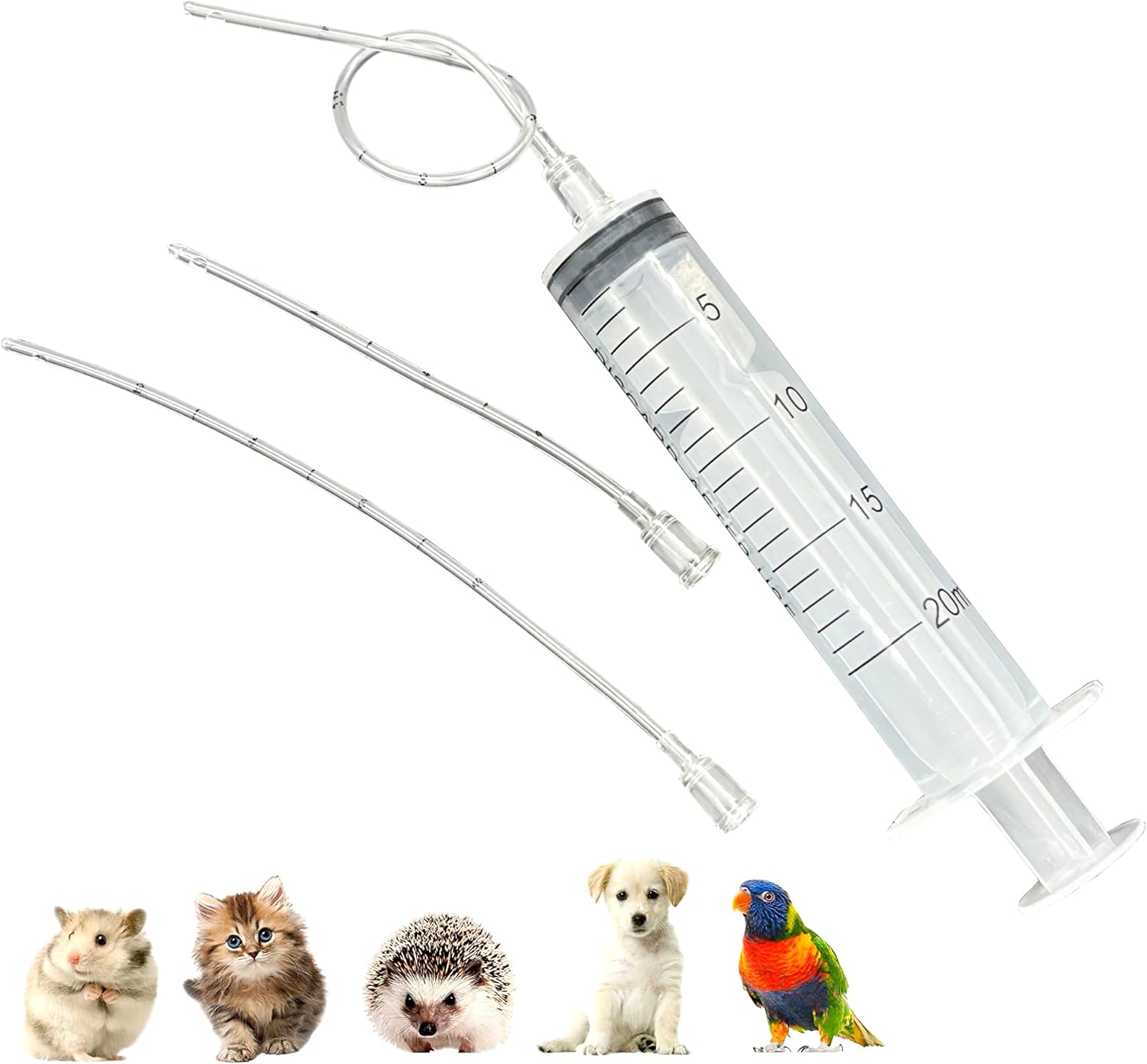 Animal Feeding Tube